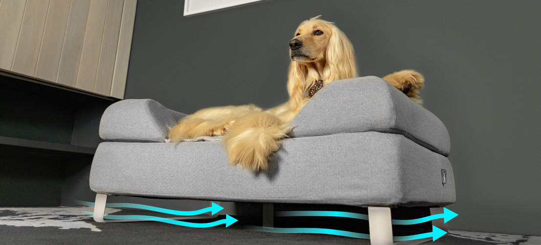 Surélever le lit à l’aide de nos pieds sur mesure améliore l’hygiène et la circulation de l’air, parfait pour la santé et le bonheur de votre chien.