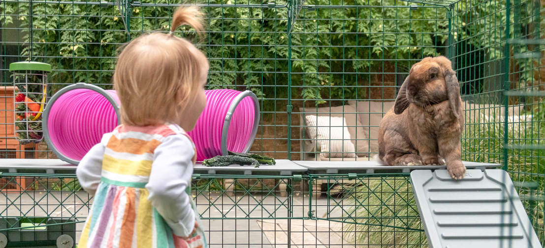 Les enfants adoreront ajouter de nouveaux niveaux à l’enclos de leurs lapins et les observer lorsqu’ils explorent leur place de jeux.