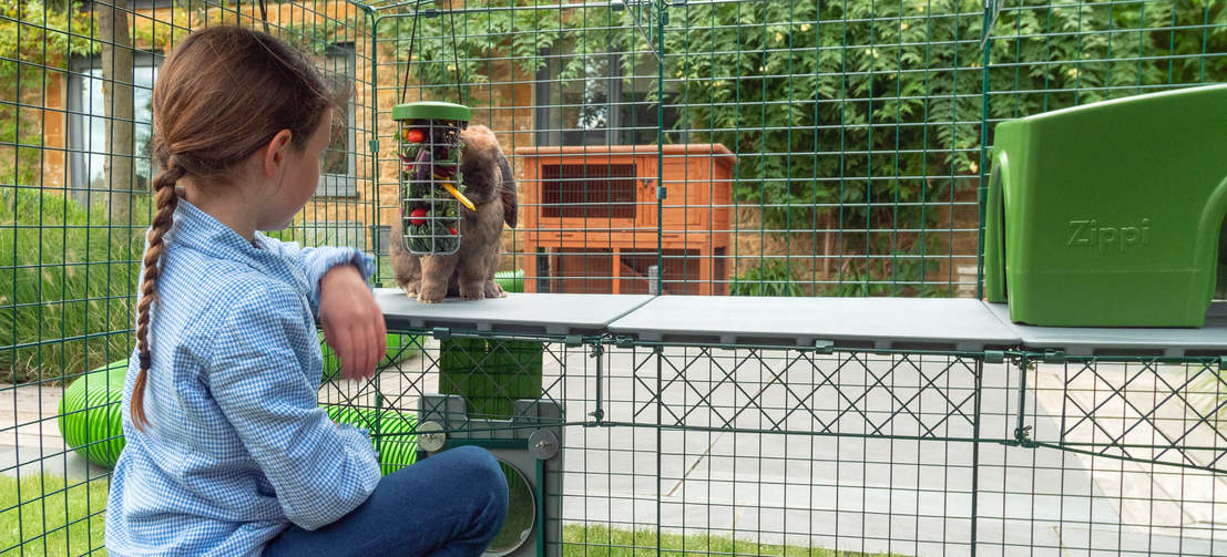 Les plateformes Zippi offrent de nouvelles façons aux enfants et à leurs animaux de s’amuser ensemble.