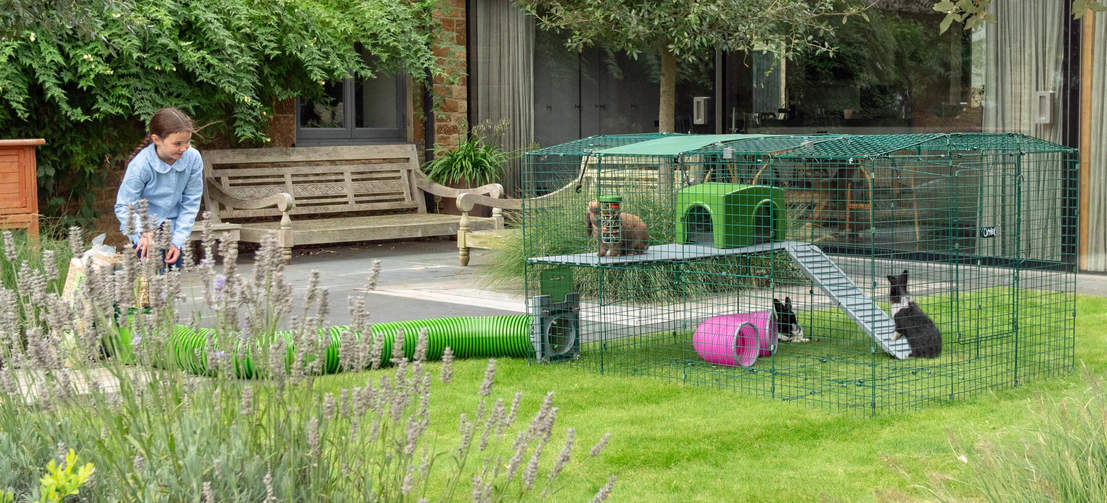 Lapins dans Omlet Zippi parc pour lapins avec Zippi plateformes et Zippi tunnel connecté