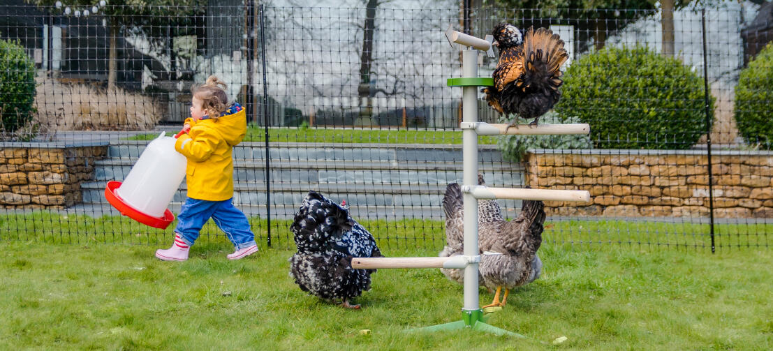 Fille portant une manGeoire près d'un arbre perché pour les poules