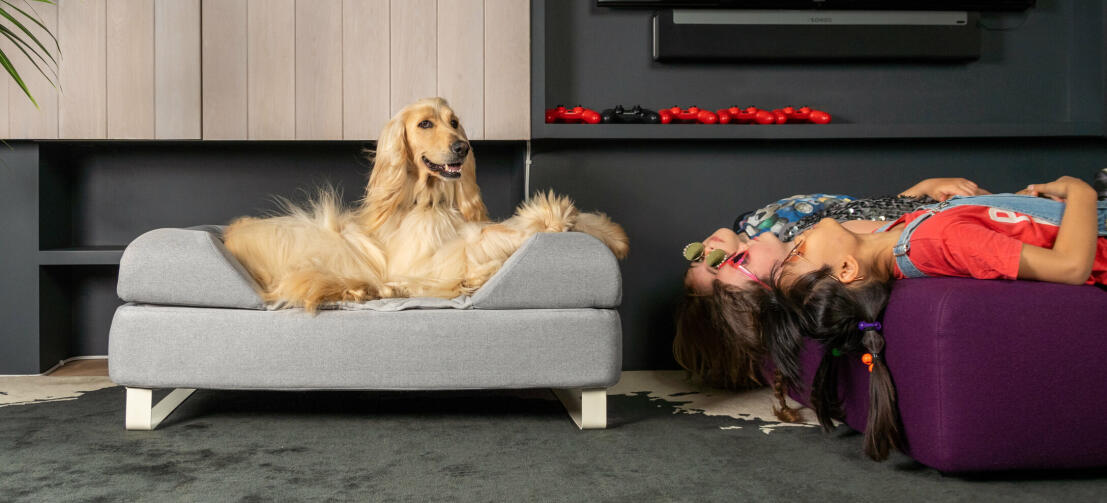 Chien couché sur Omlet Topology lit pour chien avec traversin et pieds de rail blancs avec filles couchées à l'envers
