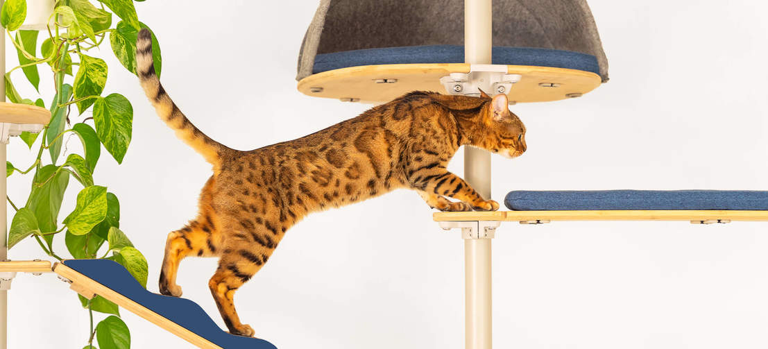 Chat grimpant Freestyle arbre à chat intérieur sol-plafond