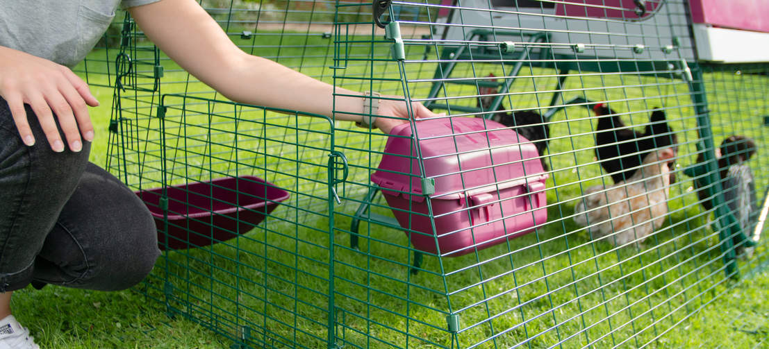 Les portes à double battants peuvent être ouvertes indépendamment pour vous permettre de remplir la mangeoire et l’abreuvoir, ou pour laisser vos poules se promener.