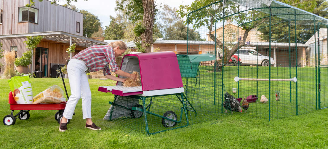 La hauteur du poulailler Eglu Go UP est très pratique, et vous poules adoreront nicher au-dessus du sol.