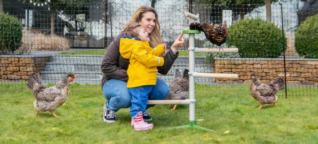 Maman et fille jouant avec des poules perchées dans le perchoir universel pour poules, un jouet sur pied