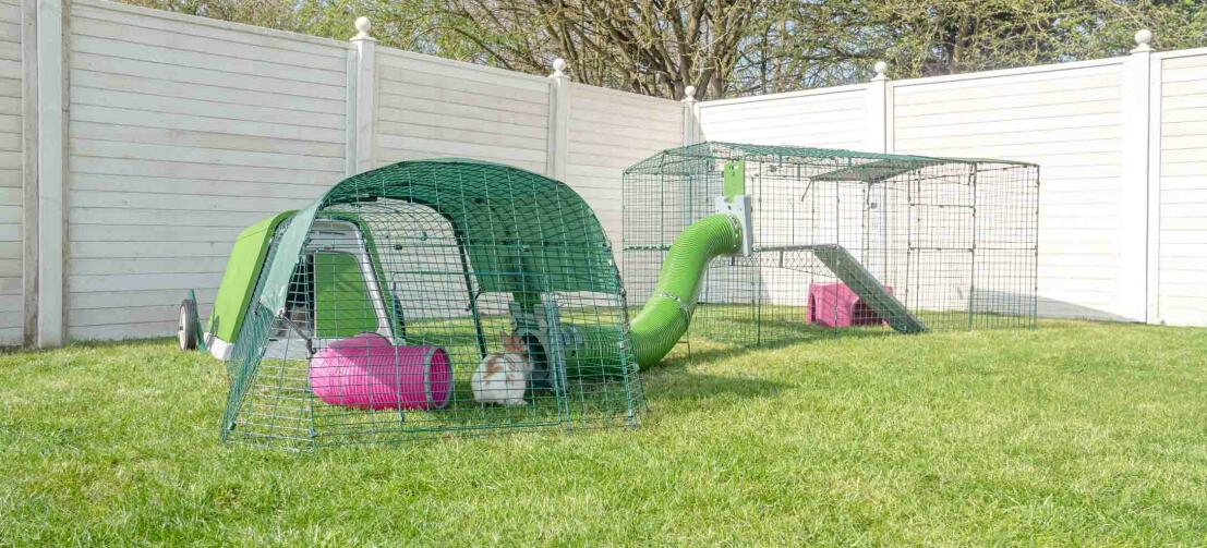 Jardin avec un lapin vert Eglu Go clapier, parcours extérieur pour lapins et Zippi tunnels pour lapins