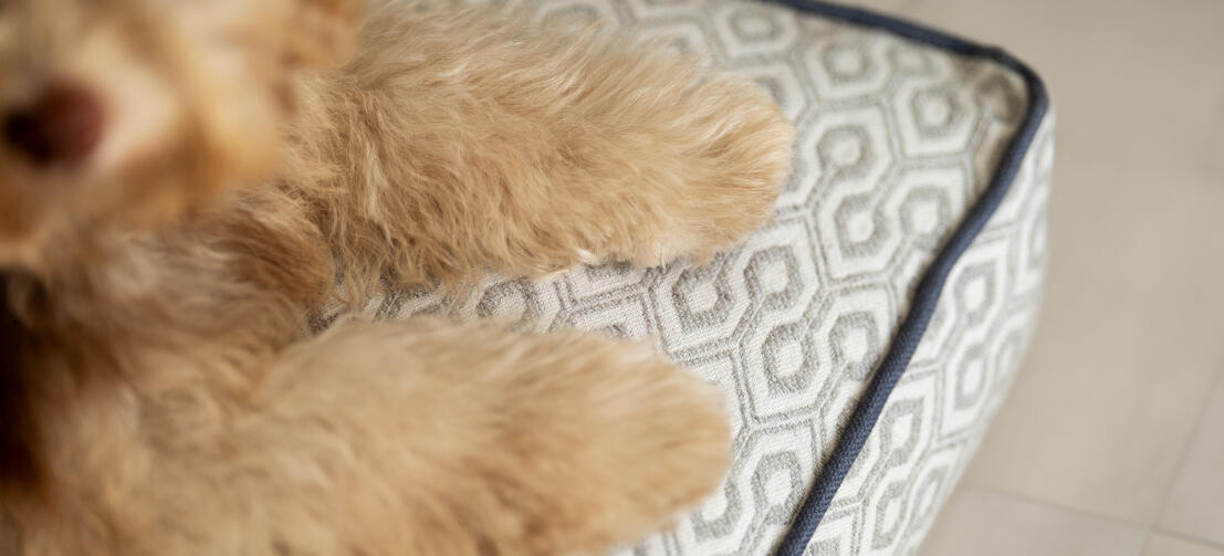 Gros plan sur le coussin en nid d'abeille en ardoise pour chien