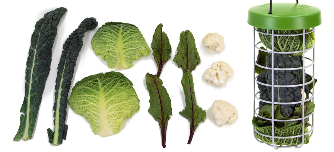 La forme du Distributeur de nourriture Caddi vous permet d'offrir une grande variété d'aliments à vos poules. La forme du Distributeur de nourriture Caddi vous permet d'offrir une grande variété d'aliments à vos poules.