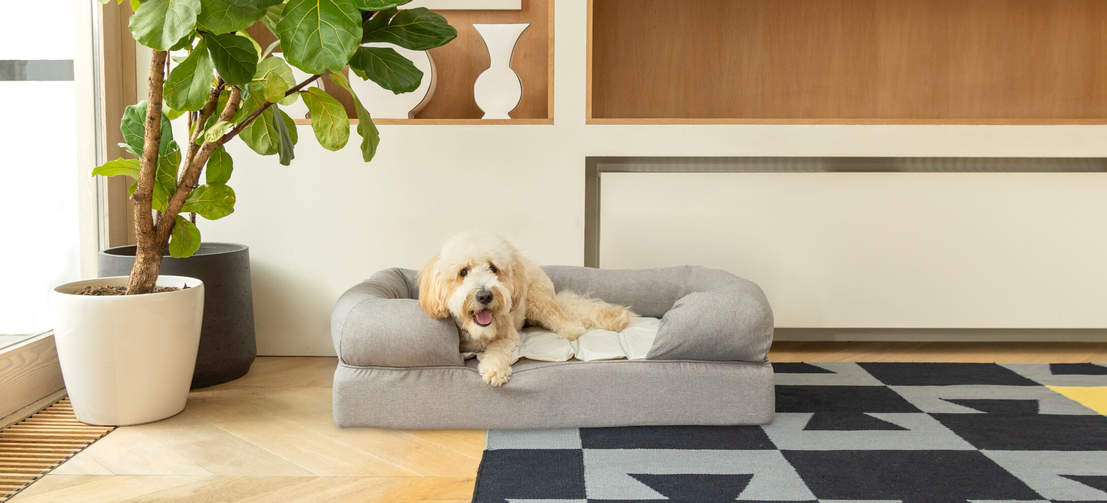 Le tapis auto-réfrigérant garde votre compagnon au frais pendant des heures, et réduit ainsi le risque de coups de chaleurs.