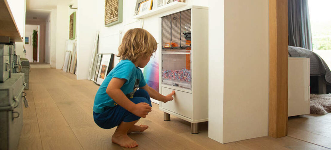 Un enfant regardant un hamster à l'intérieur d'une cage à hamster Qute