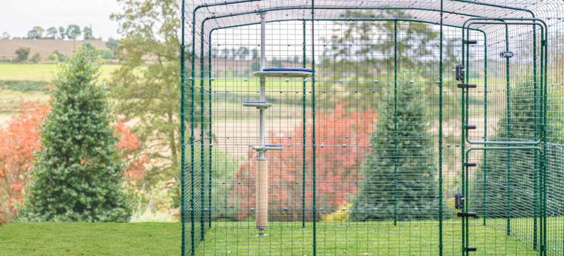 Parcours extérieur sécurisé pour chats et chatons avec Freestyle arbre à chat à l'intérieur.