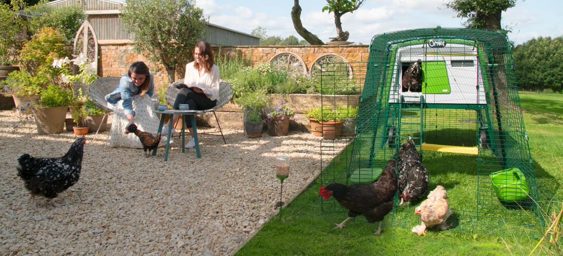 Dames assises dans le jardin avec des poulets en liberté devant un grand poulailler Eglu Cube 