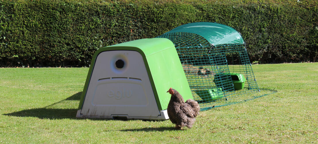 Grâce à son isolation à double paroi, le poulailler Eglu Go garde vos poules au frais en été et au chaud en hiver.