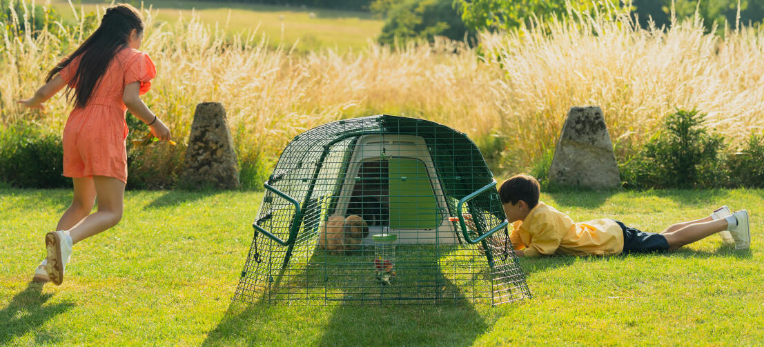 Des enfants jouant dans le jardin et interagissant avec leur lapin à travers le grillage du parc.