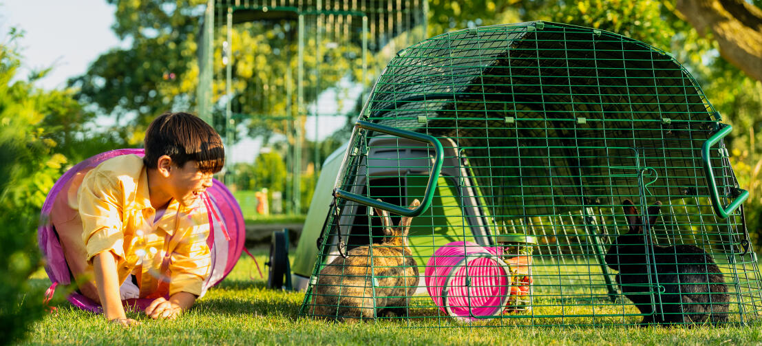 Un garçon sortant d'un tunnel de jeu à côté de son clapier Eglu Go dans le jardin.