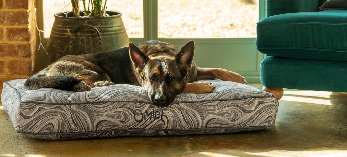 Berger allemand couché sur un coussin facile à nettoyer Omlet lit pour chien
