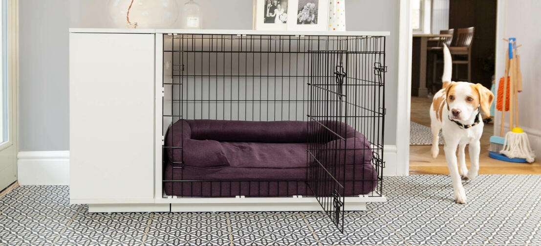 Cage pour chien sur pied style contemporain avec coussin