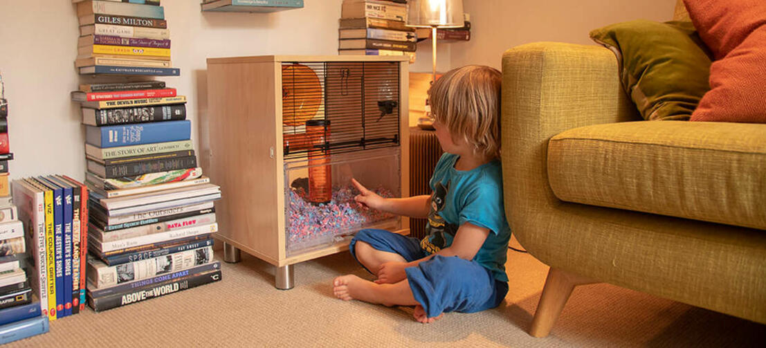 Un enfant regardant un hamster à l'intérieur d'une cage à hamster Qute 