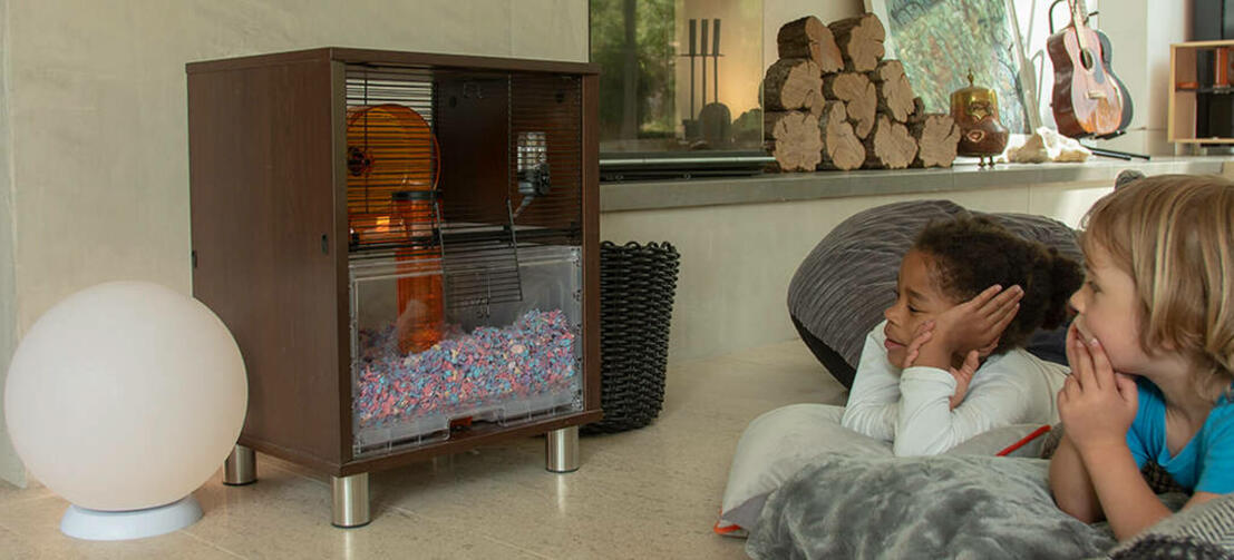 Deux enfants regardant une cage à hamster Qute Deux enfants regardant une cage à hamster Qute
