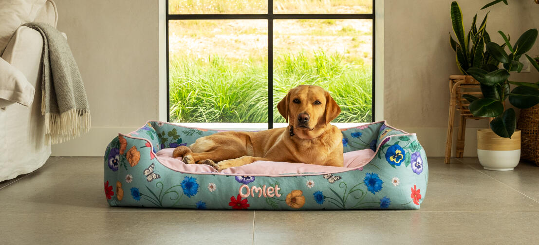 Retriever sur un grand lit pour chien en imprimé gardenia sage.