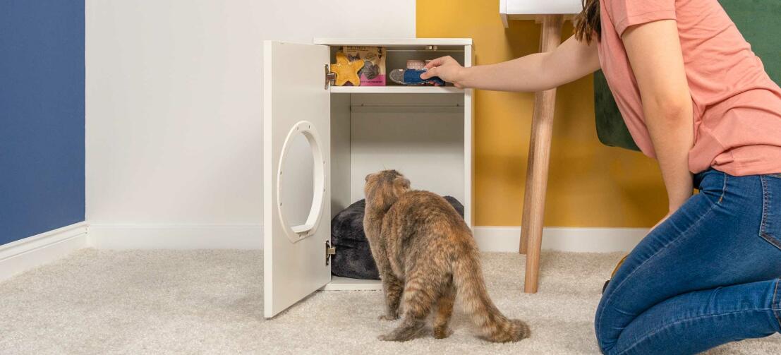 Dame vérifiant le rangement de la maison de chat intérieure Maya Pendant que le chat enquête