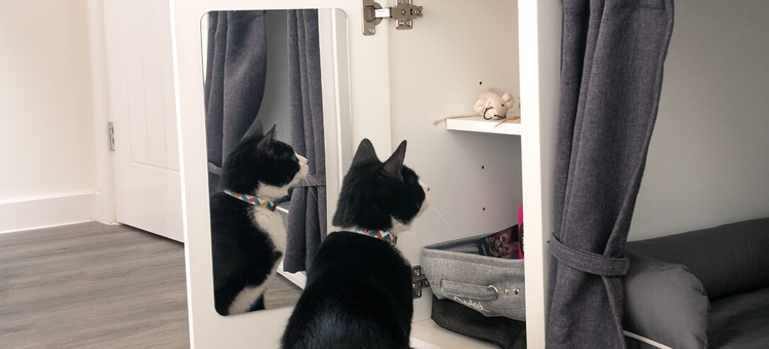 Votre chat a la fâcheuse habitude de trouver ses friandises lorsque vous vous absentez ? La Maya Nook, la plus inventive des niches pour chats, offre un placard sécurisé pour les ranger. Votre chat a la fâcheuse habitude de trouver ses friandises lorsque vous vous absentez ? La Maya Nook, la plus inventive des niches pour chats, offre un placard sécurisé pour les ranger.