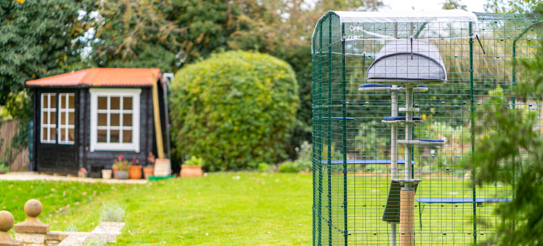 Omlet catio dans le jardin avec Freestyle arbre à chat extérieur à l'intérieur de celui-ci