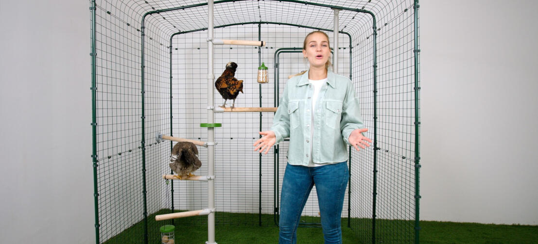 Fille à côté d'un système de perchage pour poulets Poletree
