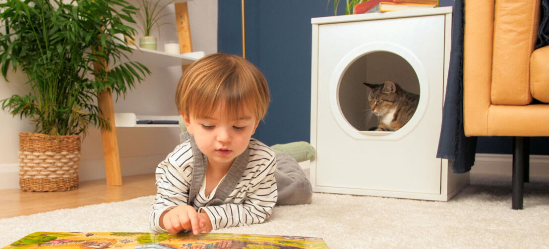 Chat mignon dans Omlet Maya maison de chat avec enfant couché devant qui lit un livre