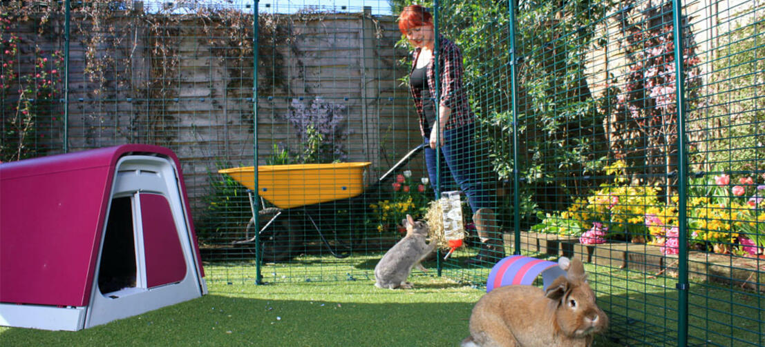 Parc Enclos lapin Extérieur grillage en métal Haute Qualité pour lapins  1,80 x 0,74 x 0,75 m « 455 S Maison été»