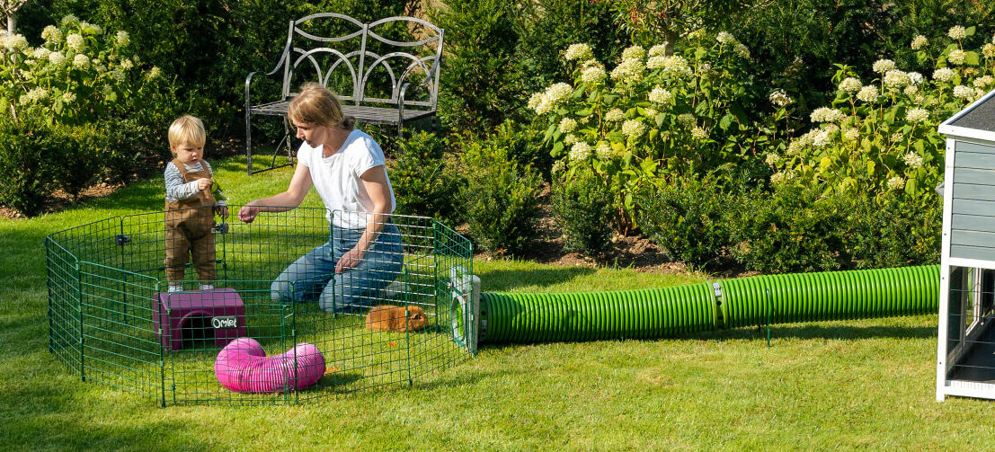 Une famille jouant avec des cochons d'inde dans le jardin, avec des tunnels Zippi reliant le parc Zippi à un clapier en bois.