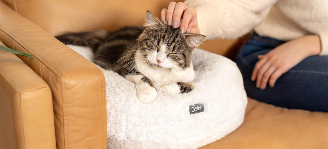 Le coussin en forme de donut garde sa forme et restera chaud et confortable pendant très longtemps.