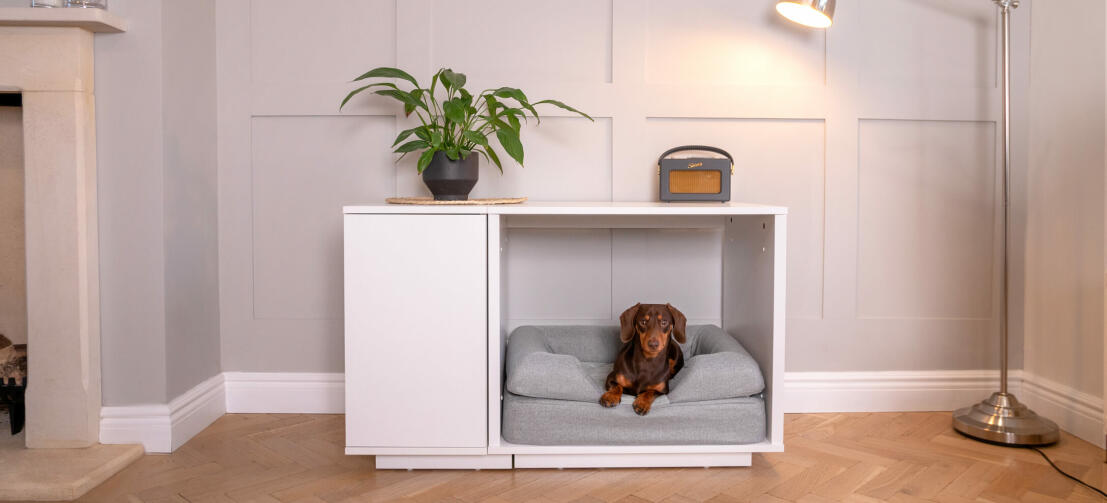 chien couché dans le panier pour chien topology Bolster à l’intérieur de la niche pour chien Fido Nook