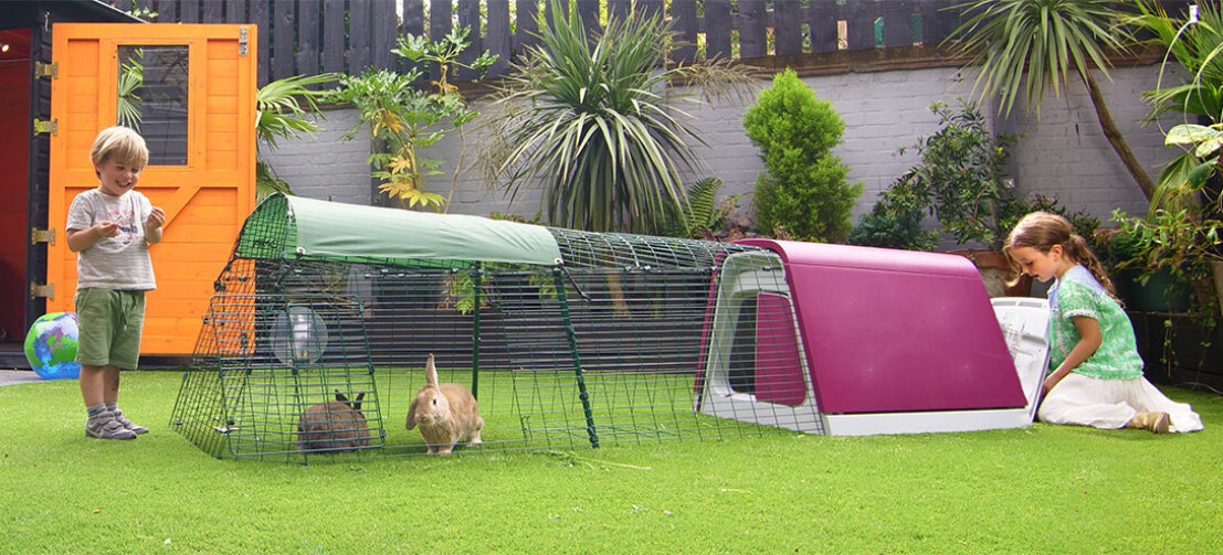 Le Clapier moderne Eglu Go vous permettra de passer du temps dans le jardin avec votre lapin