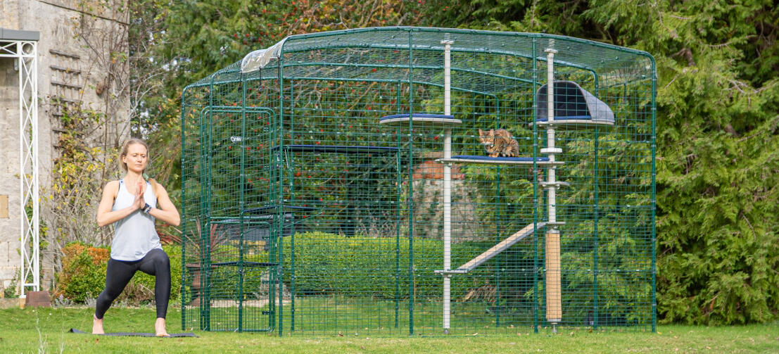 Dame faisant du yoga avec Omlet catio extérieur avec Freestyle arbre à chat extérieur avec chat assis dessus