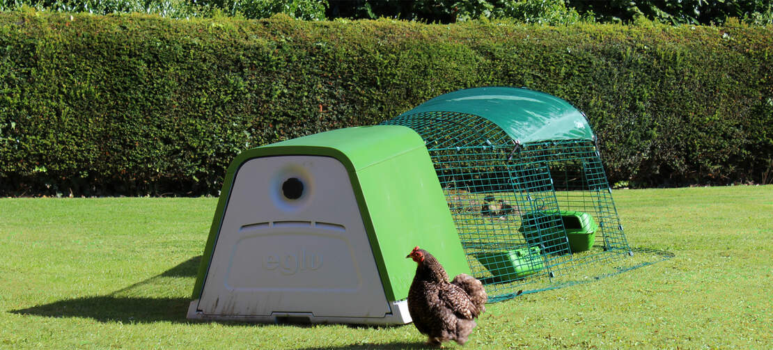 Le poulailler moderne Eglu Go est parfait pour accueillir 2 ou 3 poules Le poulailler moderne Eglu Go est parfait pour accueillir 2 ou 3 poules
