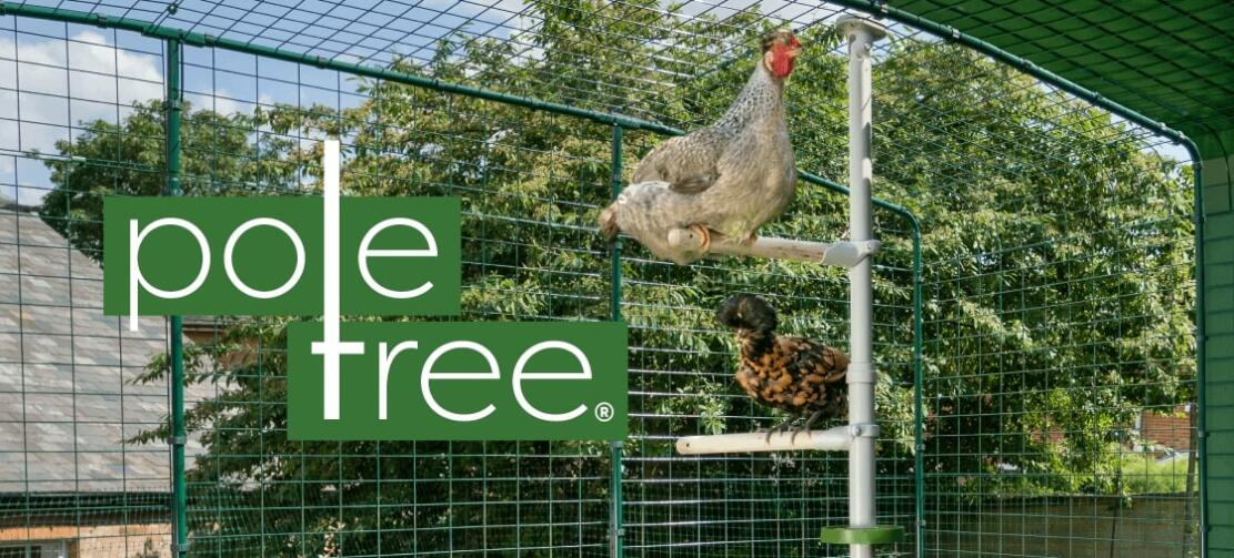 Poletree système de perchoir à poules personnalisable par Omlet