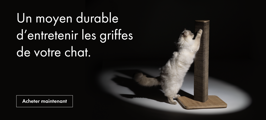 Omlet griffoirs pour chats Stak