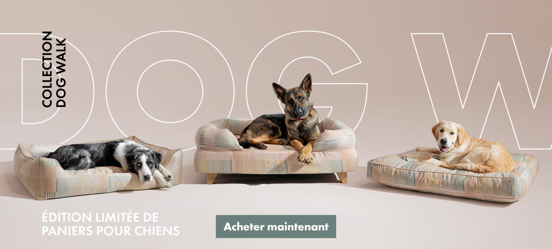 Paniers pour chiens collection dog walk