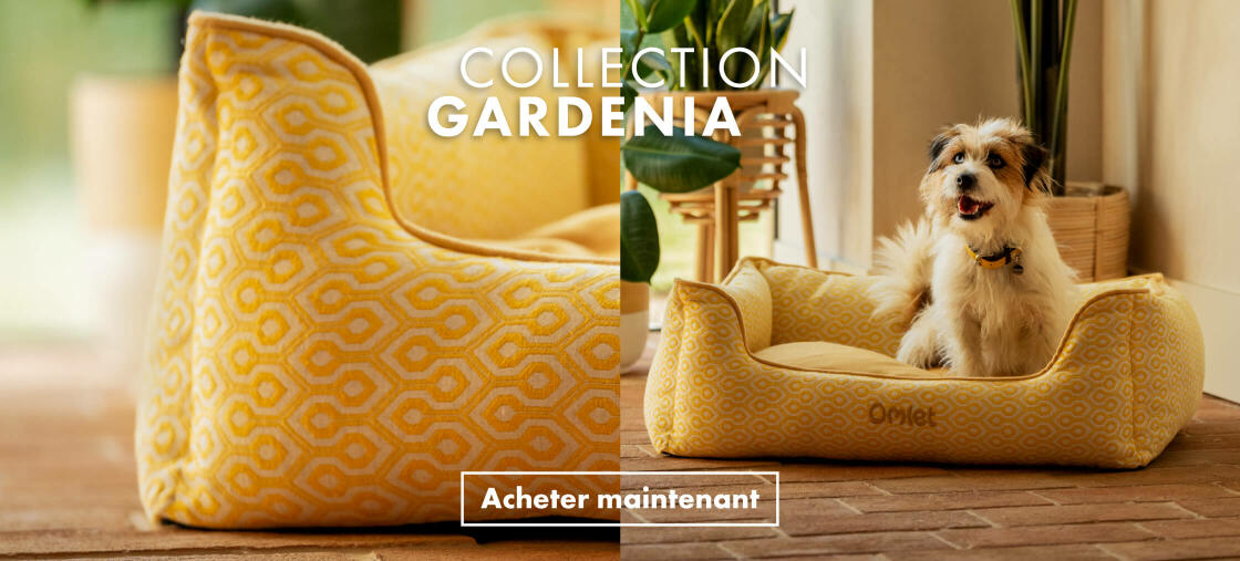 La collection Gardenia