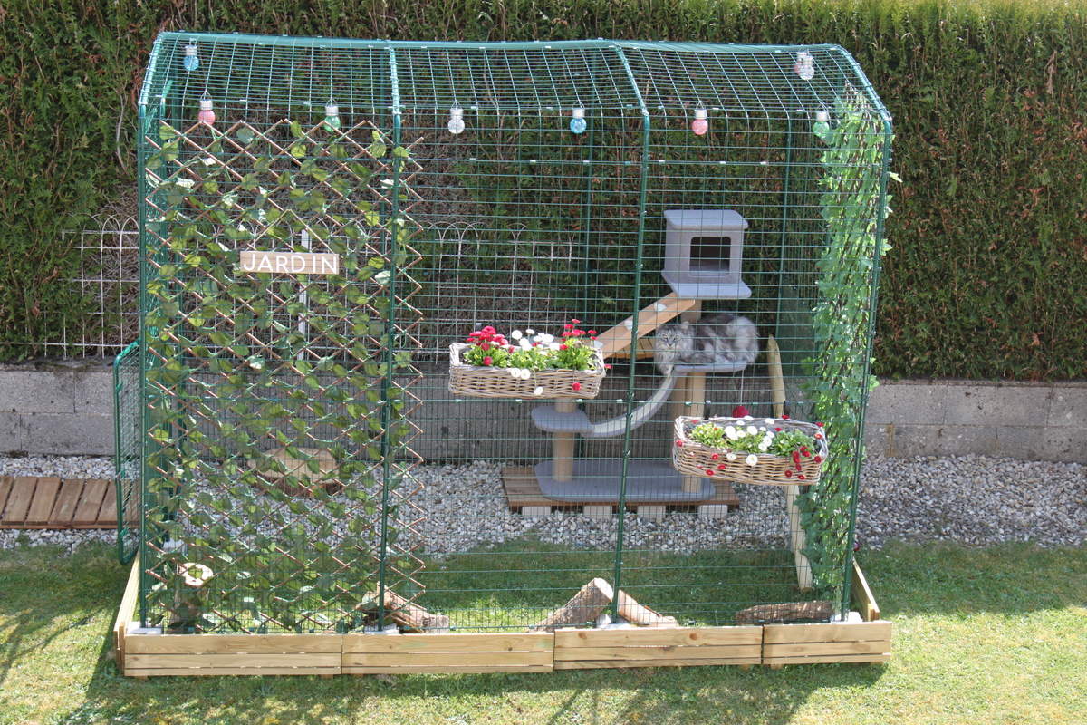 Grand Enclos Pour Chats Grand Enclos D Exterieur Griffoirs Et Arbres A Chats Bacs A Litiere Et Davantage Omlet