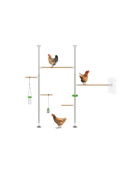 Poletree système de perchoir pour poules en arbre installation hensemble