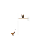 Le kit eggcercise pour Poletree arbre à perchoir personnalisable