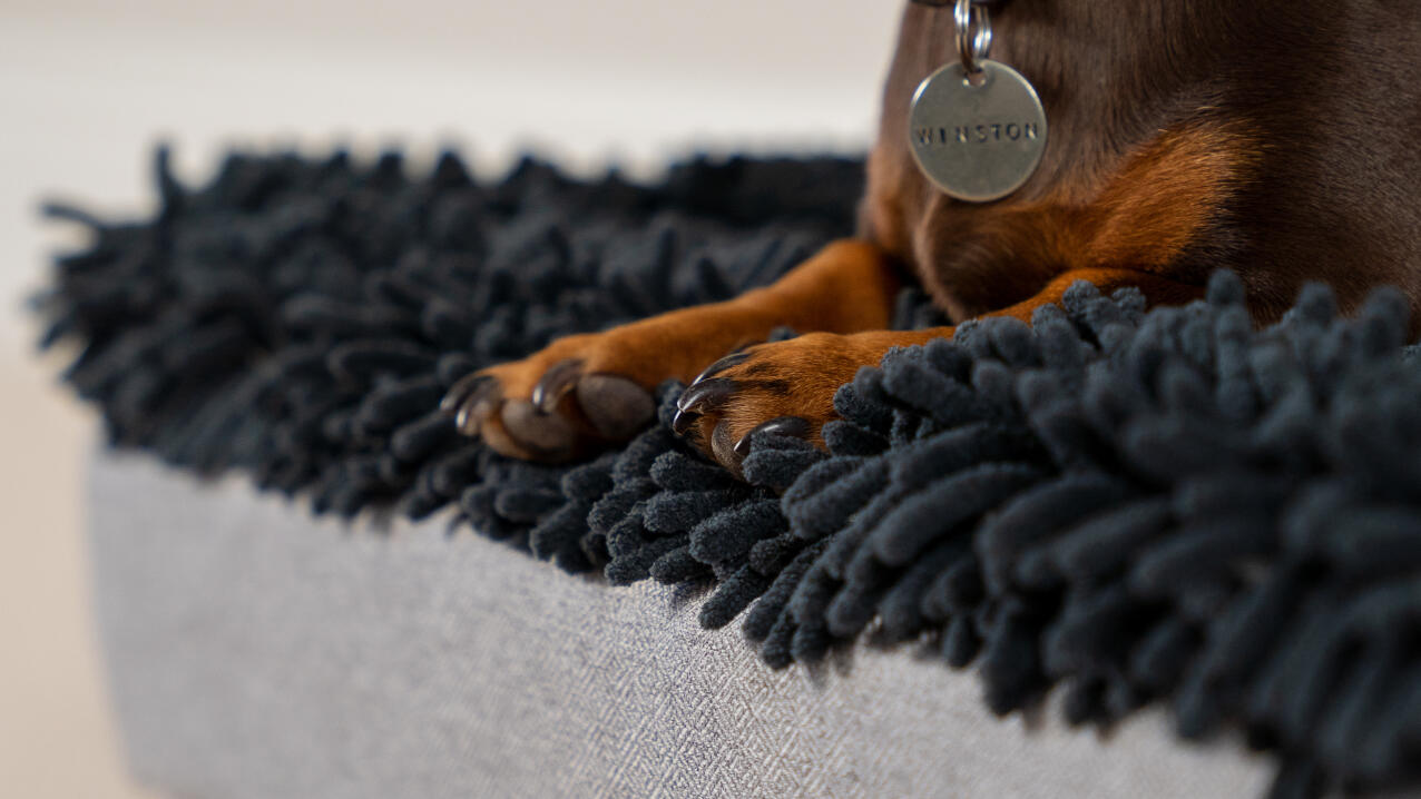 Détail de pattes sur un surmatelas en microfibre grise sur un lit pour chien Topology