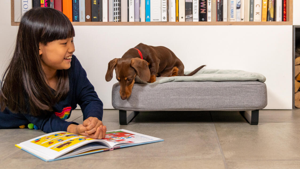 Petite fille lisant un livre à côté d'une saucisse sur un lit de chien Topology