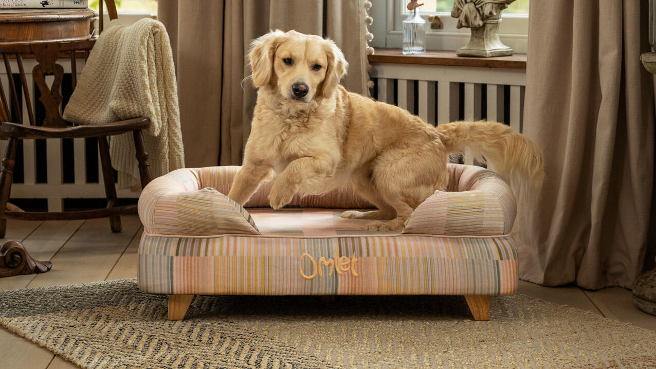 Labrador sautant du lit de chien surélevé en imprimé naturel avec des pieds carrés en bois.