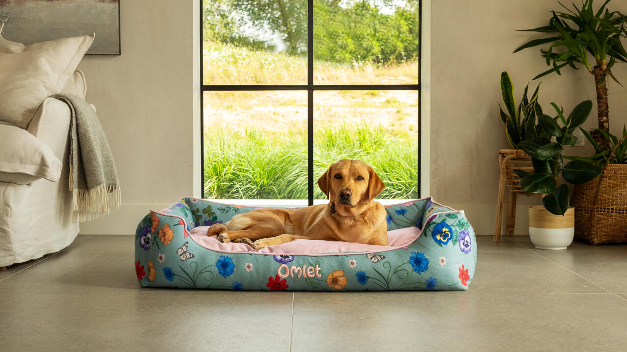 Retriever couché dans un lit nid d'abeille floral dans un espace de vie moderne et aéré