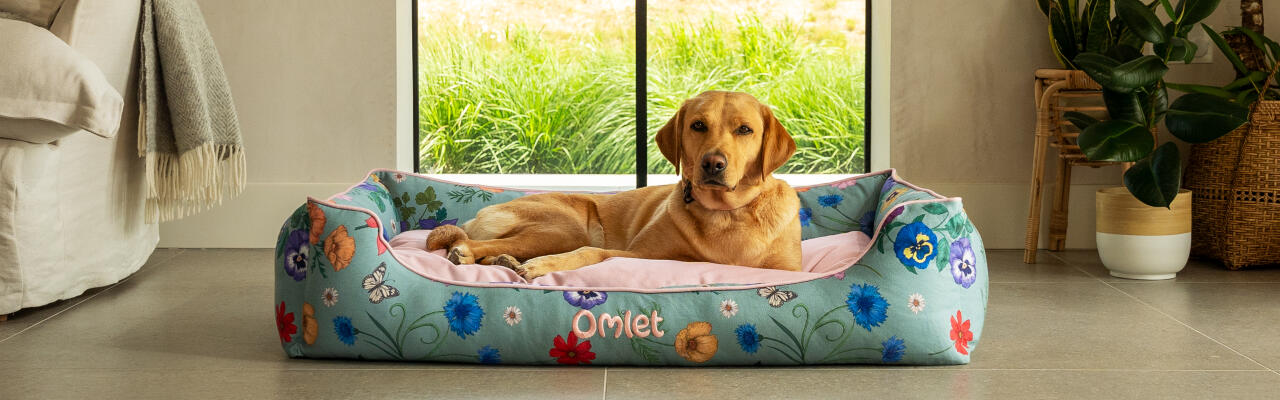 Labrador retriever sur un grand lit pour chien en imprimé gardenia sage.