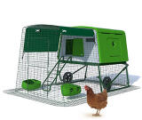 Poules
